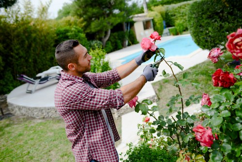 Gardener at work with hedge trimmer in residential garden