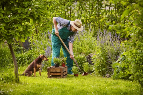 Gardener inspecting a property before work begins