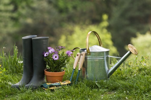 Lawn care equipment poised to service a small urban garden in Hackbridge