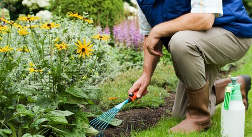 Finishing touches on a landscaped garden bed in a Hackbridge property