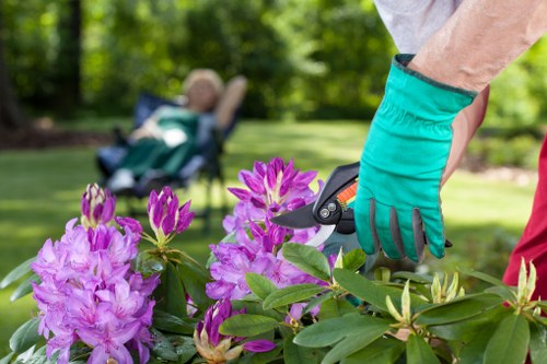 Accessible pathway and signage within a community gardening area