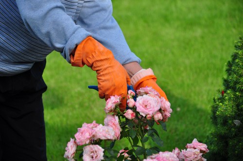 Hands pruning plants in an accessible garden plot
