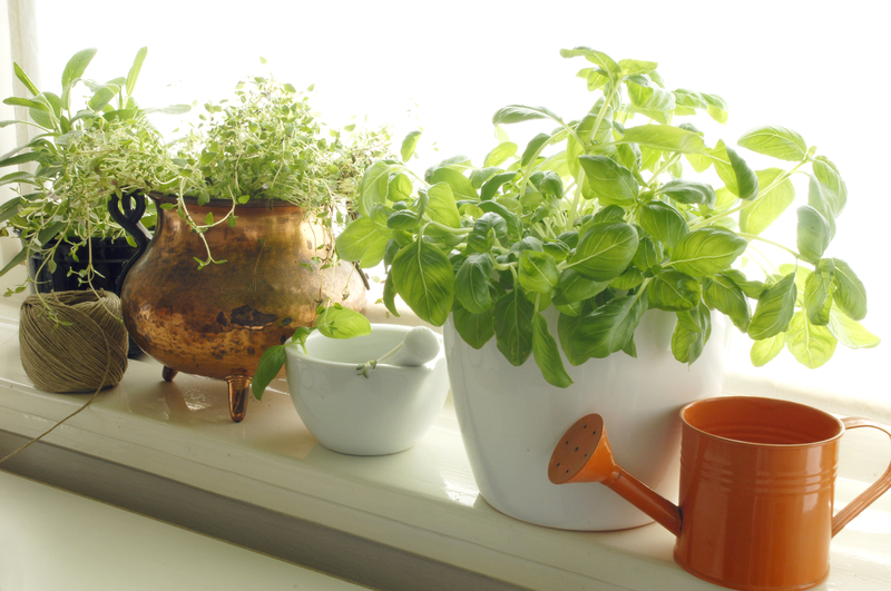 Find Out Which Tall-Potted Plants Will Transform Your Yard Into a Private Oasis